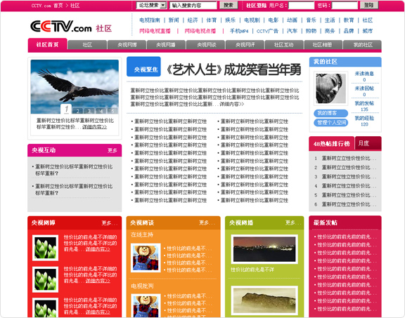 CCTV.com 06年 改版 案例 截屏